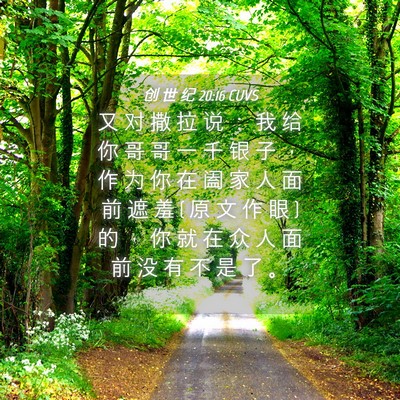 Picture 04 - 创 世 纪 20:16 CUVS - 又 对 撒 拉 说 ： 我 给 你 哥 哥 一 - Bible Verse Picture