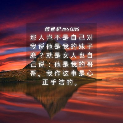 Picture 04 - 创 世 纪 20:5 CUVS - 那 人 岂 不 是 自 己 对 我 说 他 是 - Bible Verse Picture