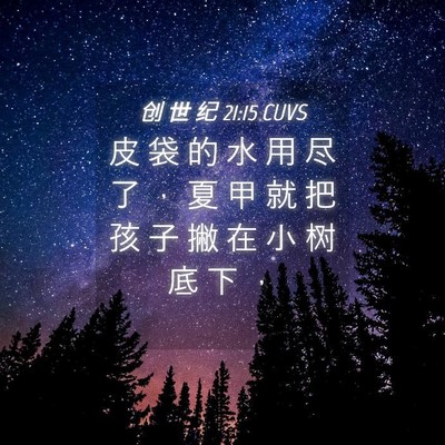 Picture 04 - 创 世 纪 21:15 CUVS - 皮 袋 的 水 用 尽 了 ， 夏 甲 就 把 - Bible Verse Picture