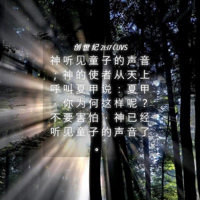 Picture 04 - 创 世 纪 21:17 CUVS - 神 听 见 童 子 的 声 音 ； 神 的 使 - Bible Verse Picture