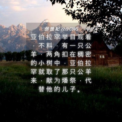 Picture 04 - 创 世 纪 22:13 CUVS - 亚 伯 拉 罕 举 目 观 看 ， 不 料 ， - Bible Verse Picture