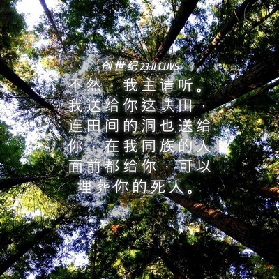 Picture 04 - 创 世 纪 23:11 CUVS - 不 然 ， 我 主 请 听 。 我 送 给 你 - Bible Verse Picture