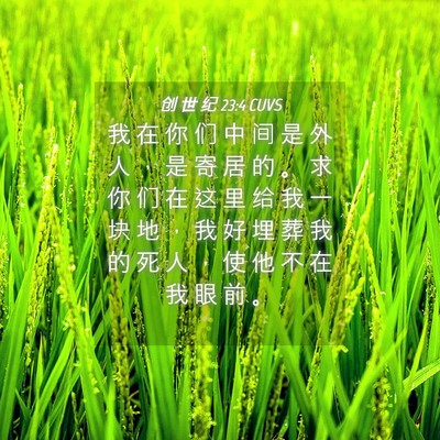 Picture 04 - 创 世 纪 23:4 CUVS - 我 在 你 们 中 间 是 外 人 ， 是 寄 - Bible Verse Picture
