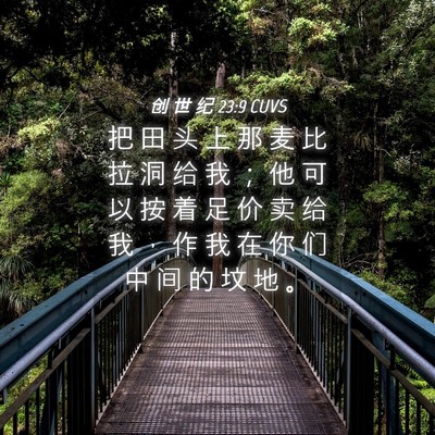 Picture 04 - 创 世 纪 23:9 CUVS - 把 田 头 上 那 麦 比 拉 洞 给 我 ； - Bible Verse Picture