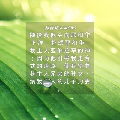 Picture 04 - 创 世 纪 24:48 CUVS - 随 後 我 低 头 向 耶 和 华 下 拜 ， - Bible Verse Picture