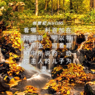Picture 04 - 创 世 纪 24:51 CUVS - 看 哪 ， 利 百 加 在 你 面 前 ， 可 - Bible Verse Picture