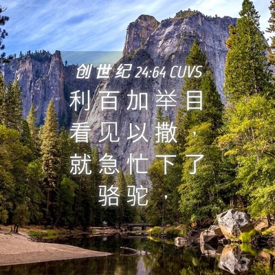 Picture 04 - 创 世 纪 24:64 CUVS - 利 百 加 举 目 看 见 以 撒 ， 就 急 - Bible Verse Picture