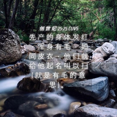 Picture 04 - 创 世 纪 25:25 CUVS - 先 产 的 身 体 发 红 ， 浑 身 有 毛 - Bible Verse Picture