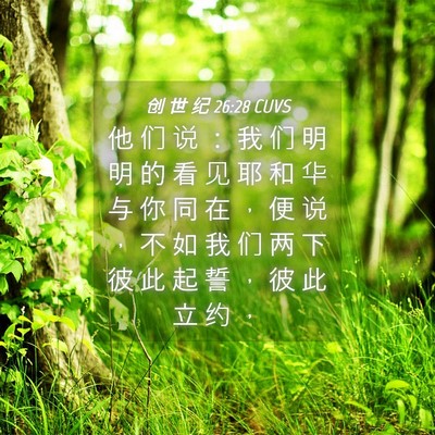 Picture 04 - 创 世 纪 26:28 CUVS - 他 们 说 ： 我 们 明 明 的 看 见 耶 - Bible Verse Picture