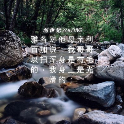 Picture 04 - 创 世 纪 27:11 CUVS - 雅 各 对 他 母 亲 利 百 加 说 ： 我 - Bible Verse Picture
