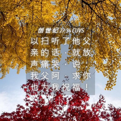 Picture 04 - 创 世 纪 27:34 CUVS - 以 扫 听 了 他 父 亲 的 话 ， 就 放 - Bible Verse Picture