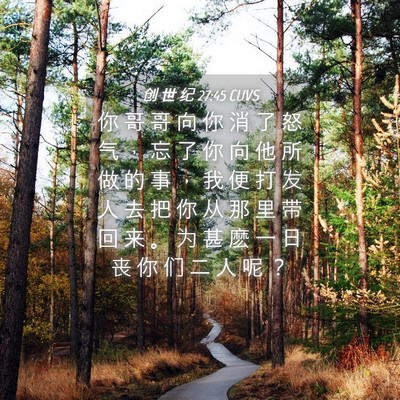 Picture 04 - 创 世 纪 27:45 CUVS - 你 哥 哥 向 你 消 了 怒 气 ， 忘 了 - Bible Verse Picture