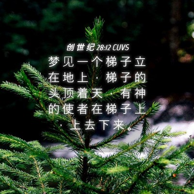 Picture 04 - 创 世 纪 28:12 CUVS - 梦 见 一 个 梯 子 立 在 地 上 ， 梯 - Bible Verse Picture