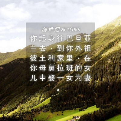 Picture 04 - 创 世 纪 28:2 CUVS - 你 起 身 往 巴 旦 亚 兰 去 ， 到 你 - Bible Verse Picture