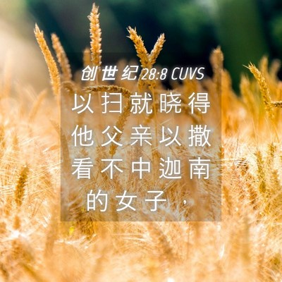 Picture 04 - 创 世 纪 28:8 CUVS - 以 扫 就 晓 得 他 父 亲 以 撒 看 不 - Bible Verse Picture