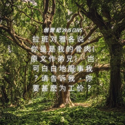 Picture 04 - 创 世 纪 29:15 CUVS - 拉 班 对 雅 各 说 ： 你 虽 是 我 的 - Bible Verse Picture
