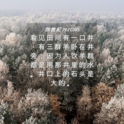 Picture 04 - 创 世 纪 29:2 CUVS - 看 见 田 间 有 一 口 井 ， 有 三 群 - Bible Verse Picture