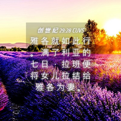 Picture 04 - 创 世 纪 29:28 CUVS - 雅 各 就 如 此 行 。 满 了 利 亚 的 - Bible Verse Picture