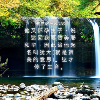 Picture 04 - 创 世 纪 29:35 CUVS - 他 又 怀 孕 生 子 ， 说 ： 这 回 我 - Bible Verse Picture