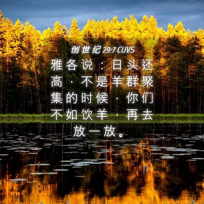 Picture 04 - 创 世 纪 29:7 CUVS - 雅 各 说 ： 日 头 还 高 ， 不 是 羊 - Bible Verse Picture