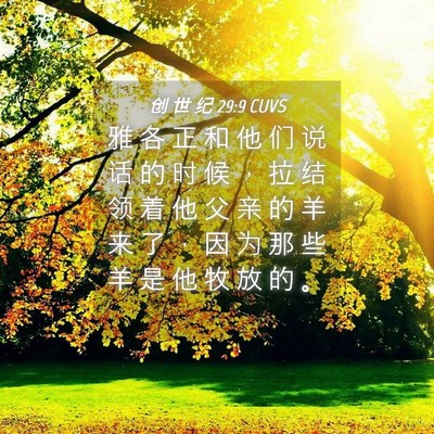Picture 04 - 创 世 纪 29:9 CUVS - 雅 各 正 和 他 们 说 话 的 时 候 ， - Bible Verse Picture