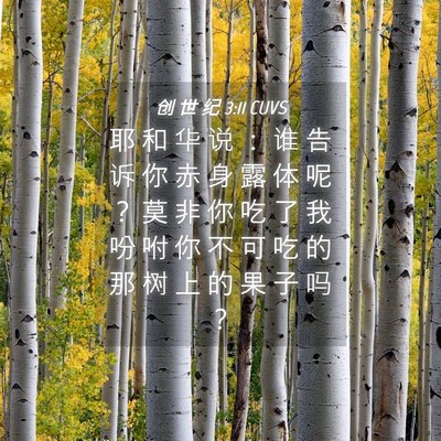 Picture 04 - 创 世 纪 3:11 CUVS - 耶 和 华 说 ： 谁 告 诉 你 赤 身 露 - Bible Verse Picture