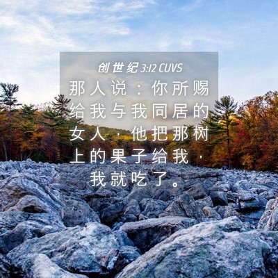 Picture 04 - 创 世 纪 3:12 CUVS - 那 人 说 ： 你 所 赐 给 我 与 我 同 - Bible Verse Picture