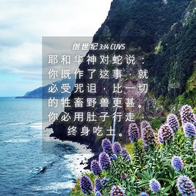 Picture 04 - 创 世 纪 3:14 CUVS - 耶 和 华 神 对 蛇 说 ： 你 既 作 了 - Bible Verse Picture