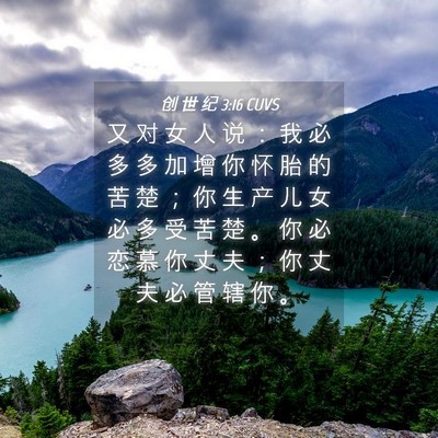 Picture 04 - 创 世 纪 3:16 CUVS - 又 对 女 人 说 ： 我 必 多 多 加 增 - Bible Verse Picture
