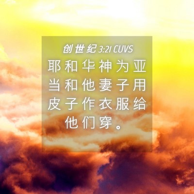 Picture 04 - 创 世 纪 3:21 CUVS - 耶 和 华 神 为 亚 当 和 他 妻 子 用 - Bible Verse Picture