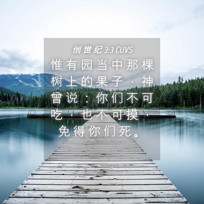 Picture 04 - 创 世 纪 3:3 CUVS - 惟 有 园 当 中 那 棵 树 上 的 果 子 - Bible Verse Picture