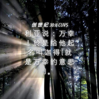 Picture 04 - 创 世 纪 30:11 CUVS - 利 亚 说 ： 万 幸 ！ 於 是 给 他 起 - Bible Verse Picture