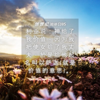 Picture 04 - 创 世 纪 30:18 CUVS - 利 亚 说 ： 神 给 了 我 价 值 ， 因 - Bible Verse Picture