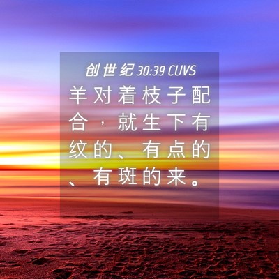 Picture 04 - 创 世 纪 30:39 CUVS - 羊 对 着 枝 子 配 合 ， 就 生 下 有 - Bible Verse Picture