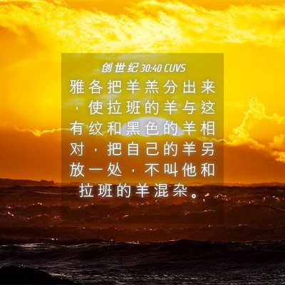 Picture 04 - 创 世 纪 30:40 CUVS - 雅 各 把 羊 羔 分 出 来 ， 使 拉 班 - Bible Verse Picture