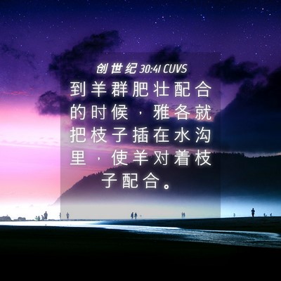 Picture 04 - 创 世 纪 30:41 CUVS - 到 羊 群 肥 壮 配 合 的 时 候 ， 雅 - Bible Verse Picture