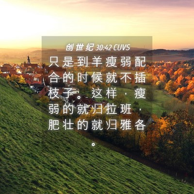 Picture 04 - 创 世 纪 30:42 CUVS - 只 是 到 羊 瘦 弱 配 合 的 时 候 就 - Bible Verse Picture