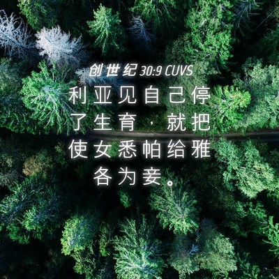 Picture 04 - 创 世 纪 30:9 CUVS - 利 亚 见 自 己 停 了 生 育 ， 就 把 - Bible Verse Picture