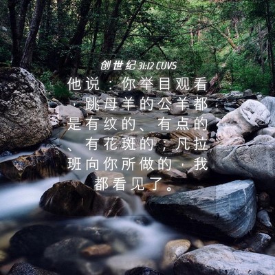 Picture 04 - 创 世 纪 31:12 CUVS - 他 说 ： 你 举 目 观 看 ， 跳 母 羊 - Bible Verse Picture