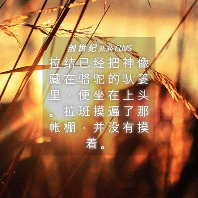 Picture 04 - 创 世 纪 31:34 CUVS - 拉 结 已 经 把 神 像 藏 在 骆 驼 的 - Bible Verse Picture