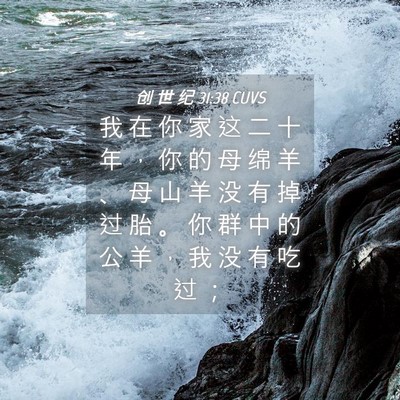 Picture 04 - 创 世 纪 31:38 CUVS - 我 在 你 家 这 二 十 年 ， 你 的 母 - Bible Verse Picture