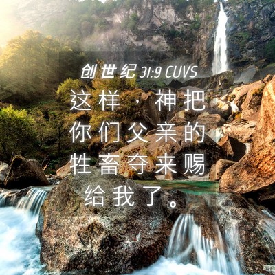 Picture 04 - 创 世 纪 31:9 CUVS - 这 样 ， 神 把 你 们 父 亲 的 牲 畜 - Bible Verse Picture