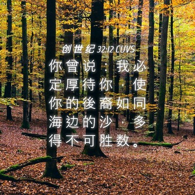 Picture 04 - 创 世 纪 32:12 CUVS - 你 曾 说 ： 我 必 定 厚 待 你 ， 使 - Bible Verse Picture