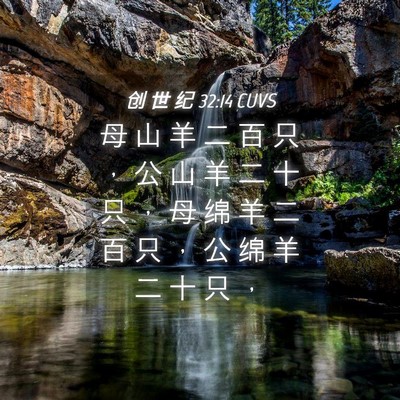 Picture 04 - 创 世 纪 32:14 CUVS - 母 山 羊 二 百 只 ， 公 山 羊 二 十 - Bible Verse Picture
