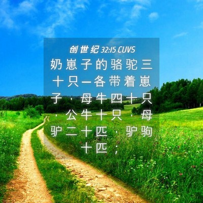 Picture 04 - 创 世 纪 32:15 CUVS - 奶 崽 子 的 骆 驼 三 十 只 ─ 各 带 - Bible Verse Picture