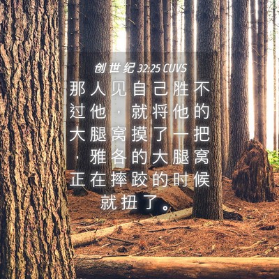 Picture 04 - 创 世 纪 32:25 CUVS - 那 人 见 自 己 胜 不 过 他 ， 就 将 - Bible Verse Picture