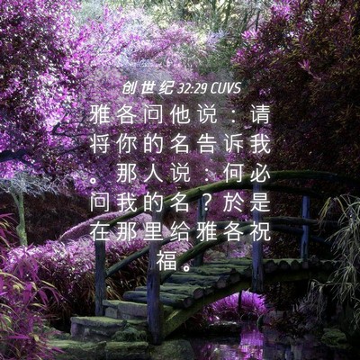 Picture 04 - 创 世 纪 32:29 CUVS - 雅 各 问 他 说 ： 请 将 你 的 名 告 - Bible Verse Picture