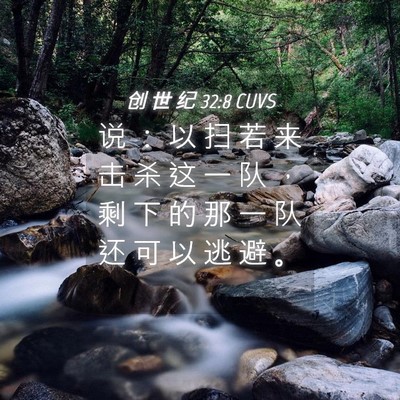 Picture 04 - 创 世 纪 32:8 CUVS - 说 ： 以 扫 若 来 击 杀 这 一 队 ， - Bible Verse Picture