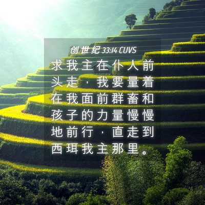Picture 04 - 创 世 纪 33:14 CUVS - 求 我 主 在 仆 人 前 头 走 ， 我 要 - Bible Verse Picture