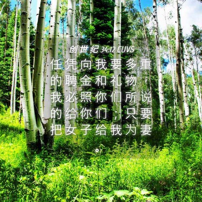 Picture 04 - 创 世 纪 34:12 CUVS - 任 凭 向 我 要 多 重 的 聘 金 和 礼 - Bible Verse Picture